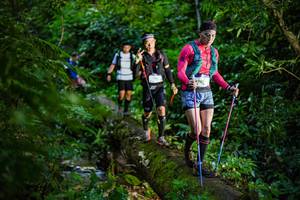 BIB: 
                            <button type="button" onclick="openModal(18922350)" class="btn btn-primary btn-sm float-right btn-popup" data-toggle="modal" data-target=".modal-high-quality">
                        <i class="fas fa-shopping-cart"></i> Add to Cart
                    </button>
                                            <button type="button" onclick="isThisMe(18922350, true)" class="btn btn-success btn-sm float-right btn-popup btn-isme hidden" data-toggle="tooltip" data-placement="bottom" title="นี่คือรูปของคุณใช่ไหม คลิกที่นี่เพื่อเอาเข้าอัลบั้ม">
                        <i class="fas fa-plus"></i> Add to album
                    </button>
                    <button type="button" onclick="isThisMe(18922350, false)" class="btn btn-warning btn-sm float-right btn-popup btn-isnotme hidden">
                        <i class="fas fa-ban"></i> Remove from album
                    </button>